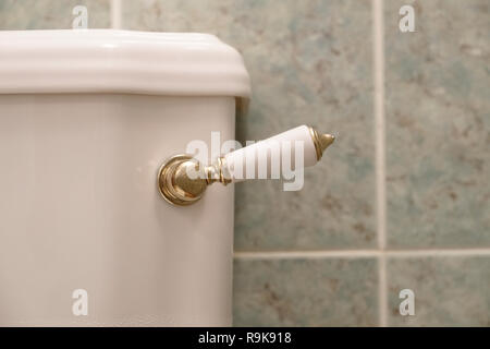Victorian toilet pan lever flush close up detail gold Stock Photo