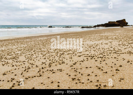 A beach close to Puerto Lopez, Ecuador Stock Photo