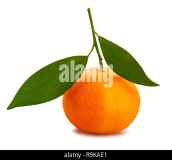 tangerine path isolated leaves Stock Photo