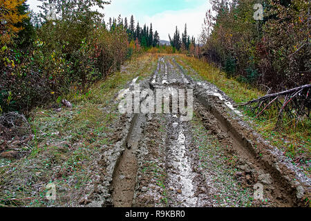 A muddy road with ruts in a cutline Stock Photo