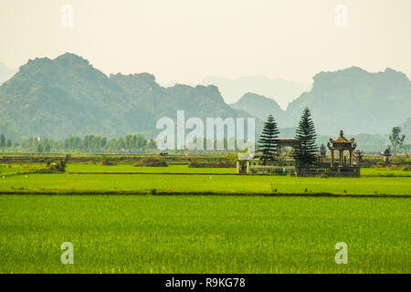 Beautiful landscape of rice fields near to Tam Coc, Ninh Binh in Vietnam Stock Photo