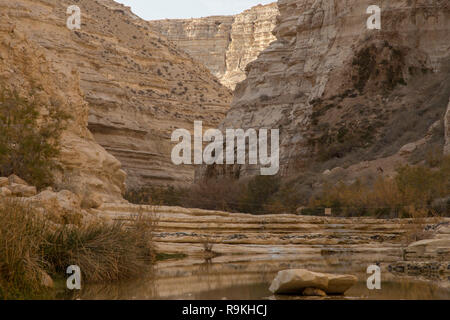 Ein Avdat, sweet water spring in the negev desert, israel Stock Photo