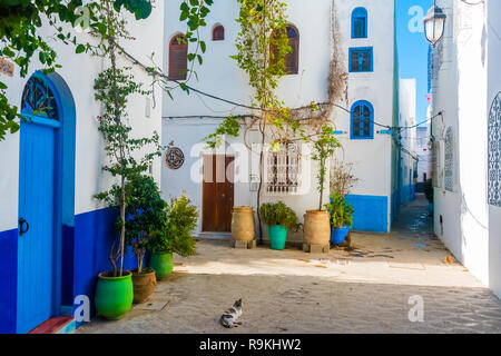 Romantic street, pots of plants and flowers in white medina of Asilah in Morocco Stock Photo