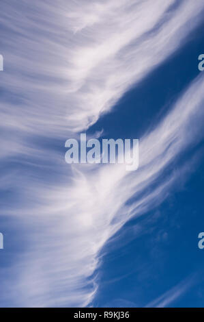 Cirrus clouds spreading out over blue sky creating animal shapes Stock Photo