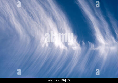 Cirrus clouds spreading out over blue sky creating animal shapes Stock Photo