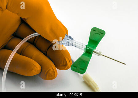 Nurse holds needle butterfly type isolated on white background, conceptual image Stock Photo