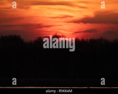 closeup top of red sun at sunset over trees silhouette with vivid red orange sky. low key image Stock Photo