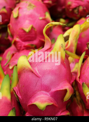 Closed Up Vibrant Pink Dragon Fruit or Strawberry pear, Popular Fruit in Cactus Family Stock Photo