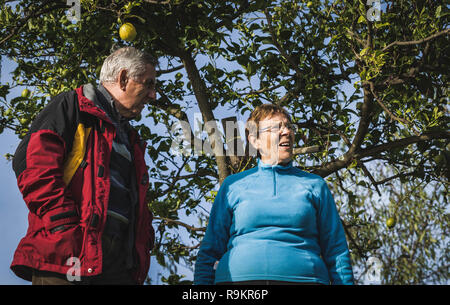 Attractive elderly couple standing under a tree looking with blue sky background Stock Photo