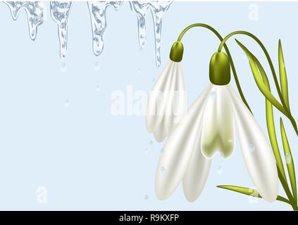abstract spring background with snowdrop and ice Stock Vector