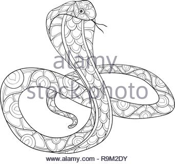 A cute snake with ornaments image for relaxing activity.A coloring book