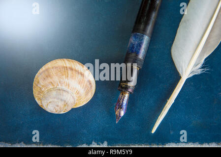 Old fountain pen with feather on a book Stock Photo
