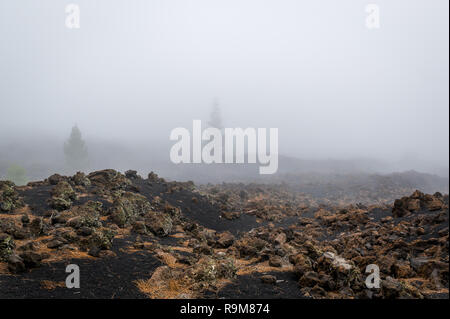 Black volcano sand hiking path around Chinyero crater. Teide National park. Tenerife island. Stock Photo