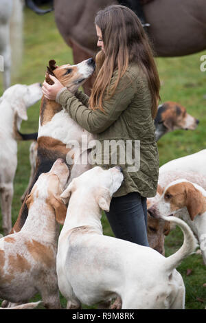 A girl plays with a hound as members of the Albrighton & Woodland Hunt gather at Hagley Hall near Stourbidge in the West Midlands for the Boxing Day hunt. Stock Photo