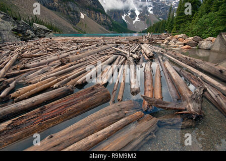 Floating logs in Moraine Lake, Banff National Park, Rocky Mountains, Alberta, Canada Stock Photo