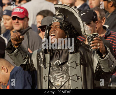 Oakland raiders fan on team hi-res stock photography and images - Alamy