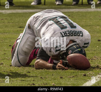 Jacksonville Jaguars Quarterback Blaine Gabbert (11) Drops Back To Pass 