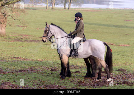 Blithfield Hall, Staffordshire, England. 26th December 2018. The traditional Boxing Day hunt meet at Blithfield Hall in rural Staffordshire sees the Meynell & South Staffs Hunt get together for the festive celebrations Credit: Daniel James Armishaw/Alamy Live News Stock Photo