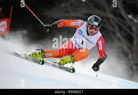 Kushiro, Hokkaido, Japan. 26th Dec, 2018. Tomoya Ishii competes during the 97th All Japan Ski Championships Alpine Men's Giant Slalom at Akan Lake Side National Ski Area in Kushiro, Hokkaido, Japan, December 26, 2018. Credit: Hiroyuki Sato/AFLO/Alamy Live News Stock Photo