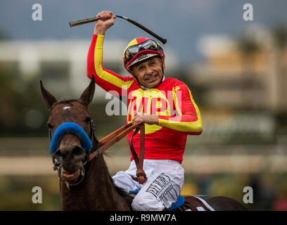 Louisville, KY, USA. 26th Dec, 2018. December 26, 2018: Mckinzie with Mike Smith dominate the Malibu Stakes at Santa Anita Park on December 26, 2018 in Arcadia, California . Evers/Eclipse Sportswire/CSM/Alamy Live News Stock Photo