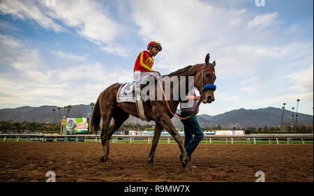 Louisville, KY, USA. 26th Dec, 2018. December 26, 2018: Mckinzie with Mike Smith dominate the Malibu Stakes at Santa Anita Park on December 26, 2018 in Arcadia, California . Evers/Eclipse Sportswire/CSM/Alamy Live News Stock Photo