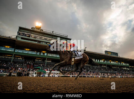 Louisville, KY, USA. 26th Dec, 2018. December 26, 2018: Mckinzie with Mike Smith dominate the Malibu Stakes at Santa Anita Park on December 26, 2018 in Arcadia, California . Evers/Eclipse Sportswire/CSM/Alamy Live News Stock Photo