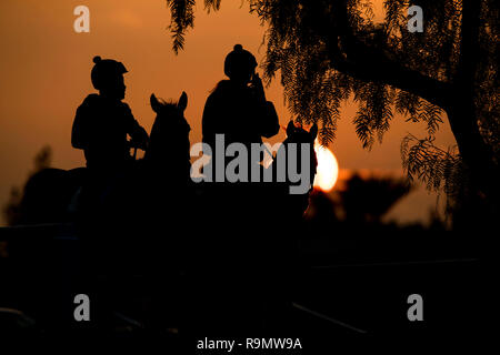 Louisville, KY, USA. 26th Dec, 2018. December 26, 2018: Horses train at Santa Anita Park on December 26, 2018 in Arcadia, California . Evers/Eclipse Sportswire/CSM/Alamy Live News Stock Photo