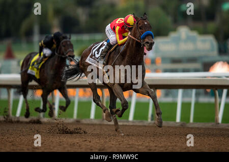 Louisville, KY, USA. 26th Dec, 2018. December 26, 2018: Mckinzie with Mike Smith dominate the Malibu Stakes at Santa Anita Park on December 26, 2018 in Arcadia, California . Evers/Eclipse Sportswire/CSM/Alamy Live News Stock Photo