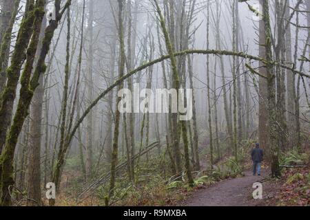 A man hiking in a foggy forest in a part of the ridgeline trail system in Eugene, Oregon, USA. Stock Photo