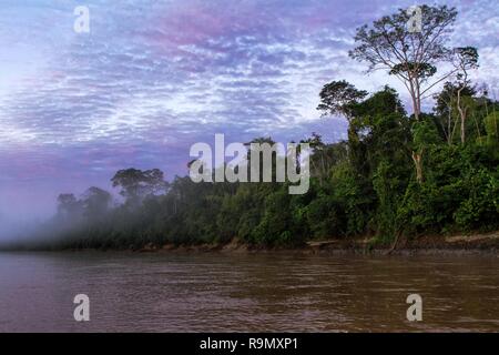 Madre De Dios River In Manu National Park With Scenery Of Tropical Rain Forest In The Peruvian Amazonia Wallpaper Beautiful Sunrise Boat Trip On Ri Stock Photo Alamy
