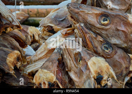 Cod Stockfish.Industrial Fishing in Norway Stock Photo - Image of