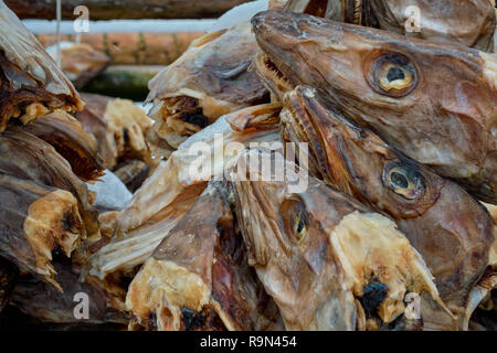 Norwegian Stockfish/stock Fish Cod 