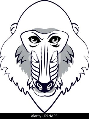 Mandrill face cool sketch Stock Vector