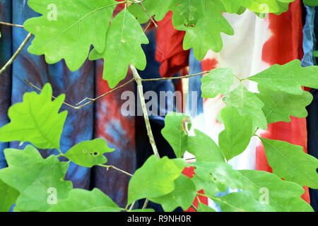Tie Dye Shirts in a Tree Stock Photo