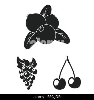 blackberry,cranberry,food,honeysuckle,grape,cherry,branch,gooseberry,red,berry,fruit,forest,redberry,fresh,cocktail,medicine,autumn,sweet,health,set,vector,icon,illustration,isolated,collection,design,element,graphic,sign,black,simple, Vector Vectors , Stock Vector