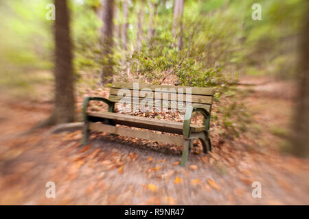 LB00083-00...GEORGIA- Trail and bench at Skidaway Island State Park. LensBaby photo Stock Photo