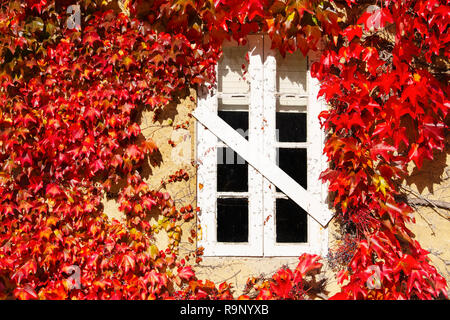 White window and autumn leaves in a house, Santander. Cantabria, Northern Spain, Europe. Stock Photo
