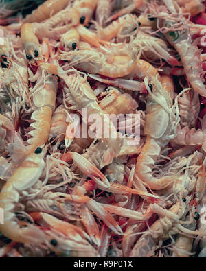 Fresh Langoustines for sale in a Market in Spain Stock Photo