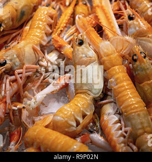 Fresh Langoustines for sale in a Spanish Market Stock Photo