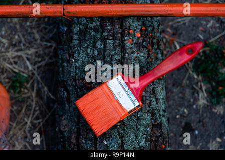 Paint brushes on the stump. Stock Photo