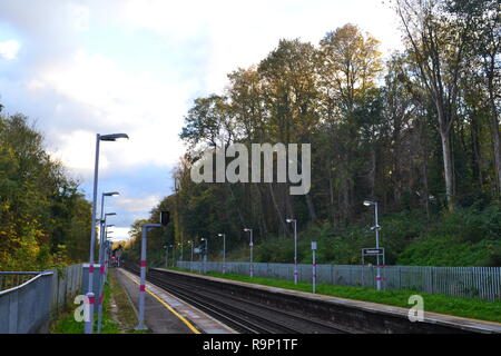 A quiet day at Ravensbourne train station, Beckenham, near Bromley, south east London, Kent, England, UK. Overhanging treesServed by Thameslink trains Stock Photo