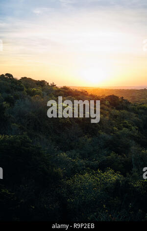 Sunset over a forest in Brazil Stock Photo