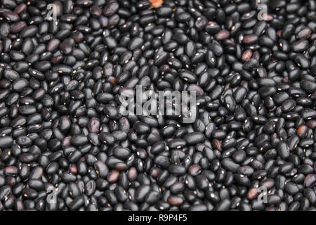 Black bean seed or Vigna cylindrica Skeels, Vigna unguiculata Walp. Royalty high-quality free stock image of black bean seed background Stock Photo