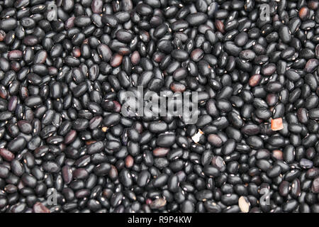 Black bean seed or Vigna cylindrica Skeels, Vigna unguiculata Walp. Royalty high-quality free stock image of black bean seed background Stock Photo