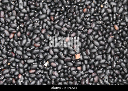 Black bean seed or Vigna cylindrica Skeels, Vigna unguiculata Walp. Royalty high-quality free stock image of black bean seed background Stock Photo