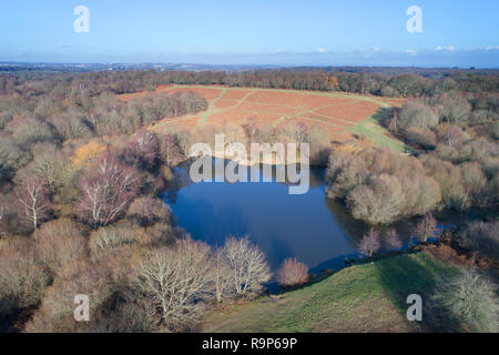 aerial view across ditchling common and pond by drone in west sussex england Stock Photo