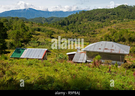 Madongo Village, Sagada, Mountain Province, Luzon, Philippines, South Asia, Asia Stock Photo