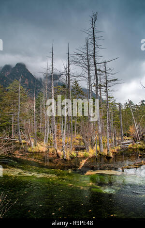 Tashiro Pond in Kamikochi, Japanese Alps, Chubu Sangaku National Park Stock Photo