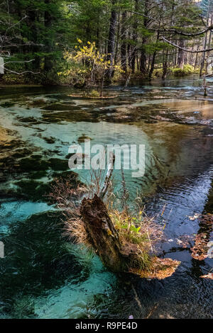 Tashiro Pond in Kamikochi, Japanese Alps, Chubu Sangaku National Park Stock Photo