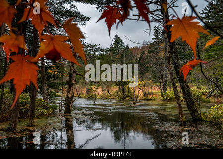 Tashiro Pond in Kamikochi, Japanese Alps, Chubu Sangaku National Park Stock Photo